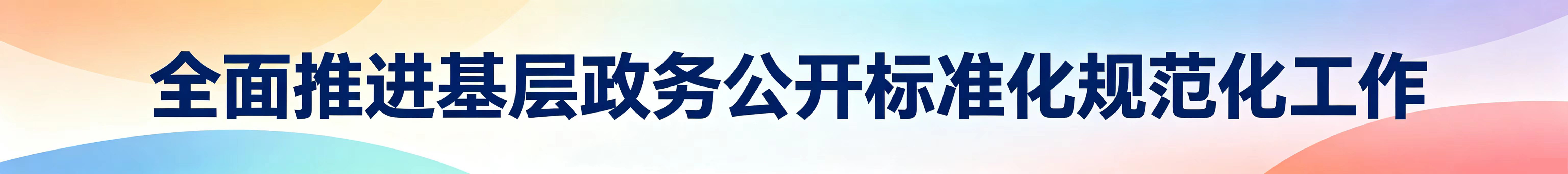 政务公开标准化规范化
