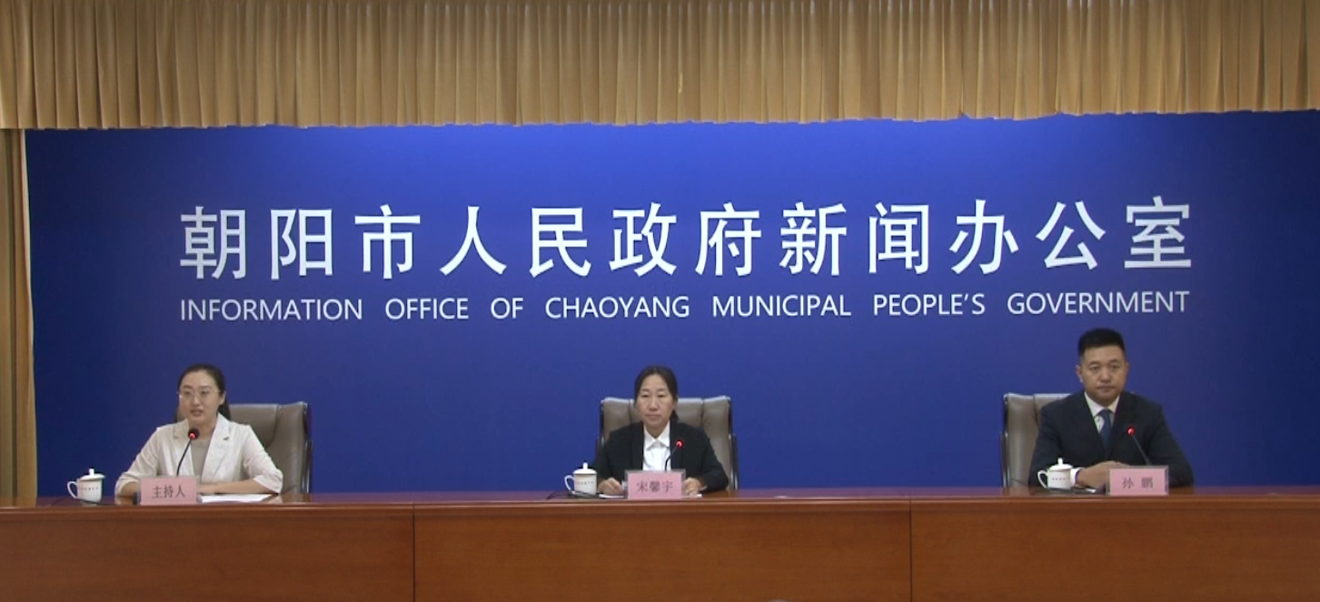 2026年朝阳市人民政府第二十二次新闻发布会——“优化营商环境 聚力振兴发展”主题系列新闻发布会第十二场（工信局）