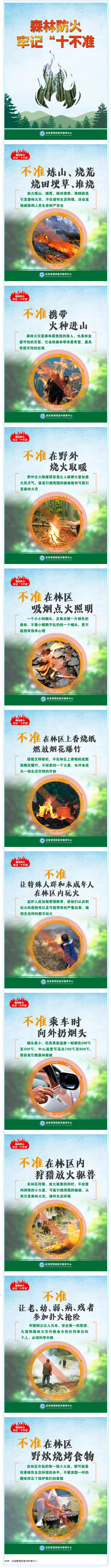 海报_森林防火牢记“十不准”.png