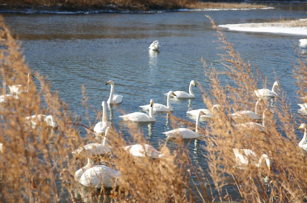 360截图20251212075601810.jpg 360截图20251212075601810.jpg