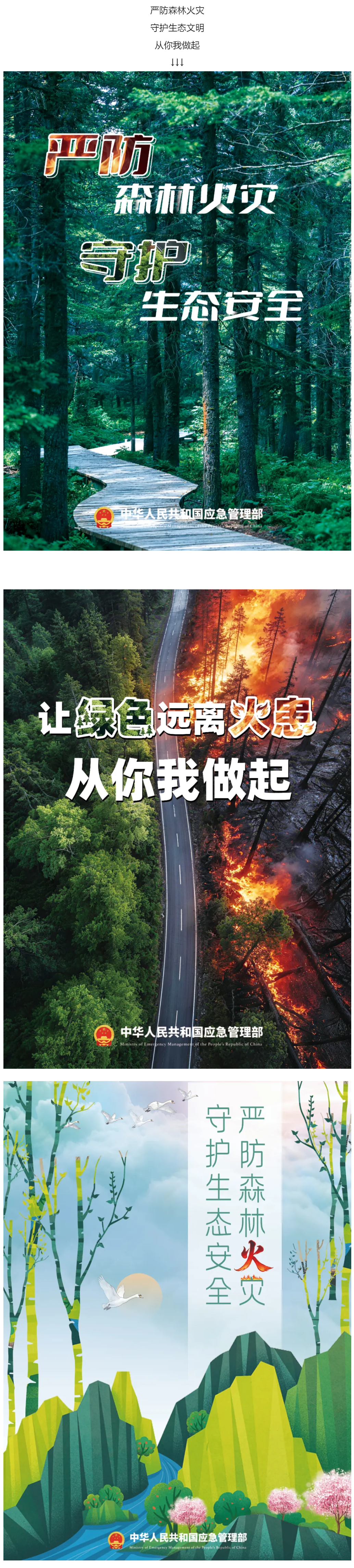 海报 _ 严防森林火灾 守护生态文明！.png