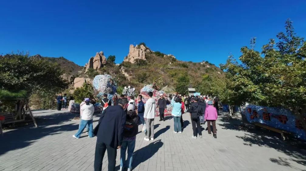 360截图20261009082839903.jpg 360截图20261009082839903.jpg