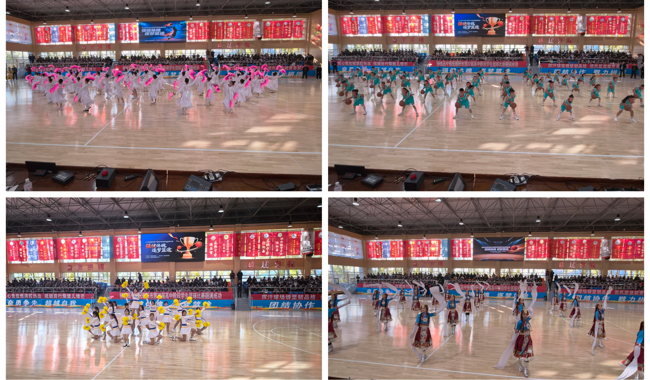 图片3.png 图片3.png