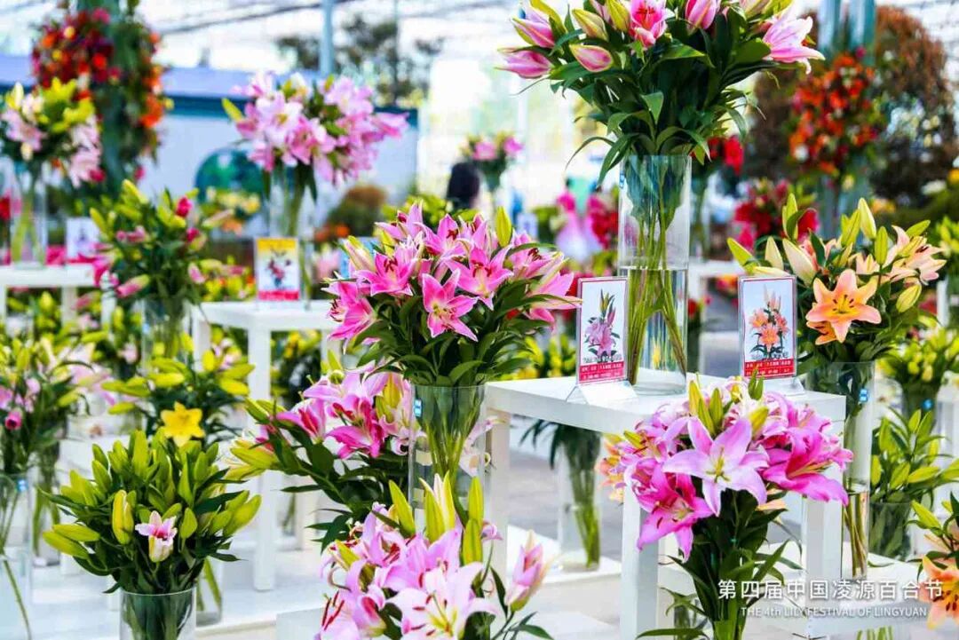 微信图片_2026-03-30_093044_413.jpg 微信图片_2026-03-30_093044_413.jpg