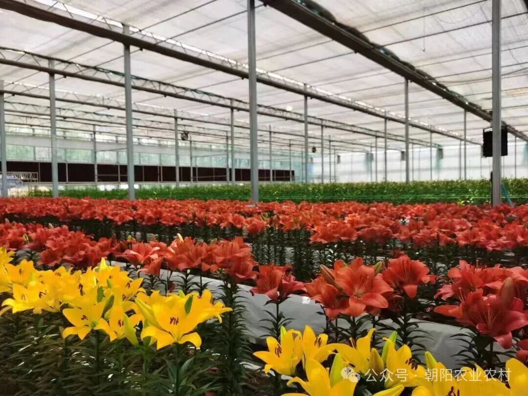 微信图片_2026-03-30_093148_505.jpg 微信图片_2026-03-30_093148_505.jpg