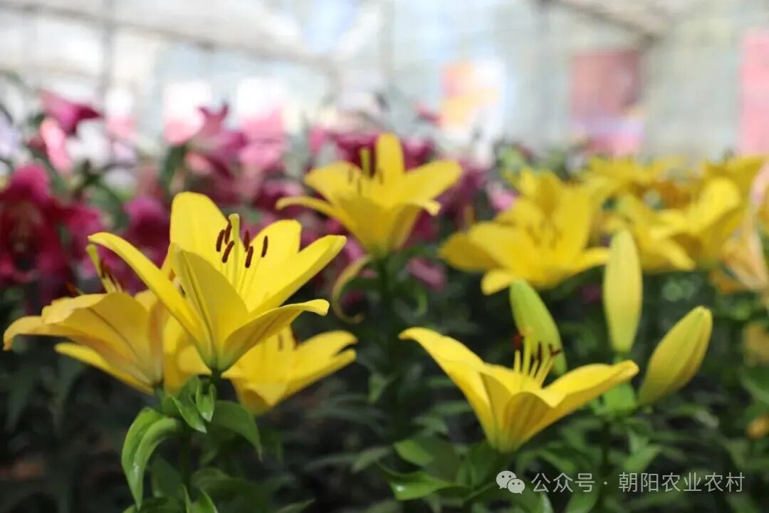 微信图片_2026-03-30_093409_013.jpg 微信图片_2026-03-30_093409_013.jpg