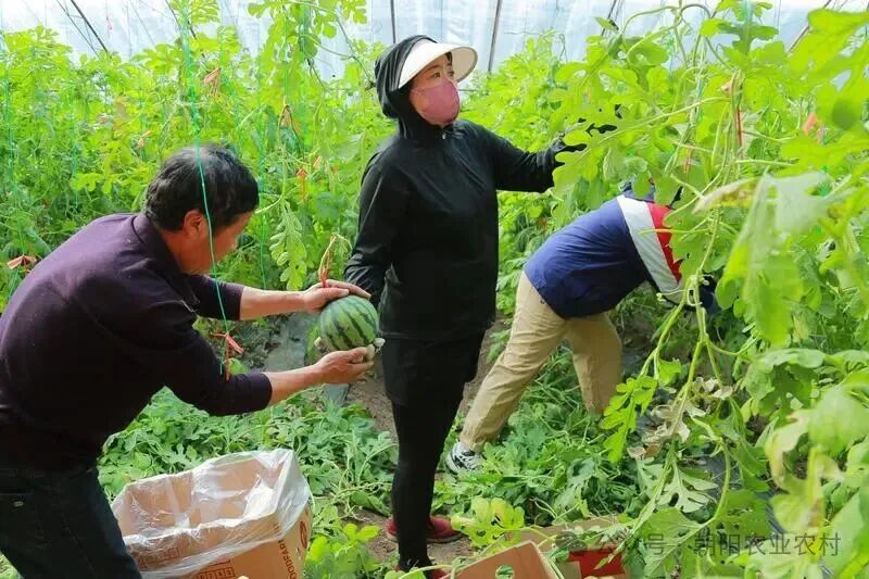 微信图片_2026-04-20_083505_123.jpg