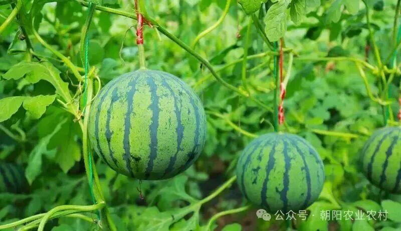 微信图片_2026-04-20_083512_340.jpg