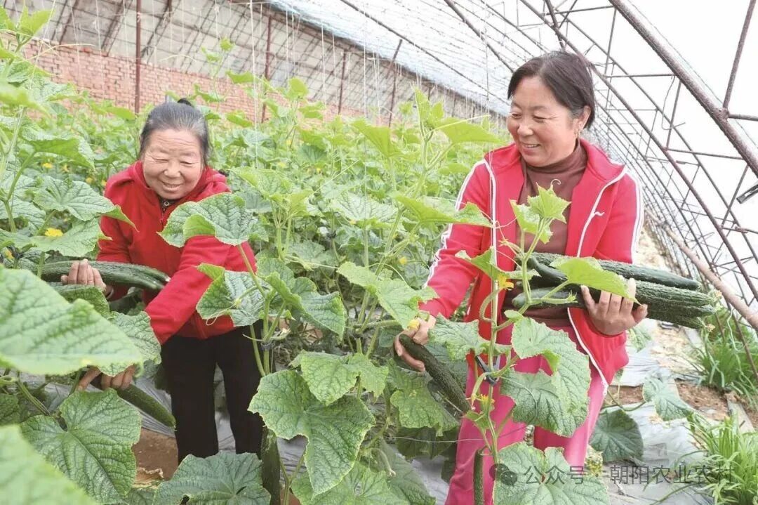 微信图片_2026-05-14_134503_539.jpg 微信图片_2026-05-14_134503_539.jpg