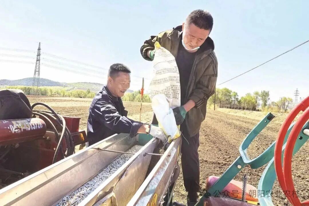 微信图片_2026-05-14_134544_655.jpg 微信图片_2026-05-14_134544_655.jpg
