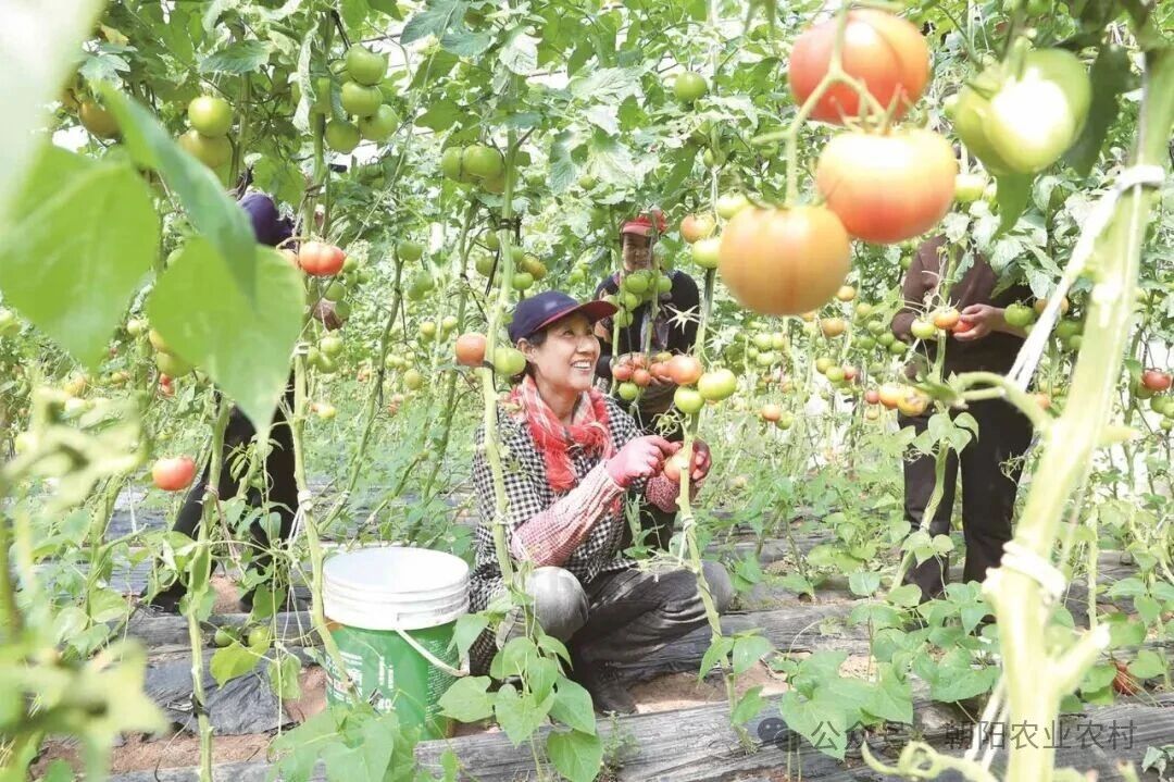 微信图片_2026-05-14_134753_026.jpg 微信图片_2026-05-14_134753_026.jpg