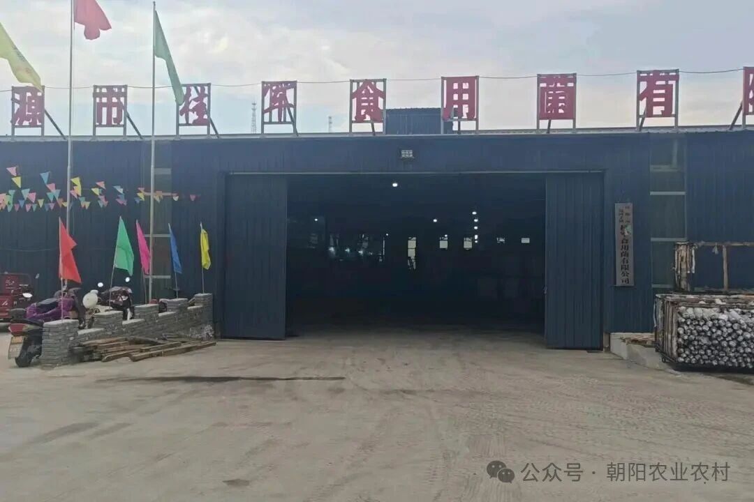微信图片_2026-05-14_140857_643.jpg 微信图片_2026-05-14_140857_643.jpg
