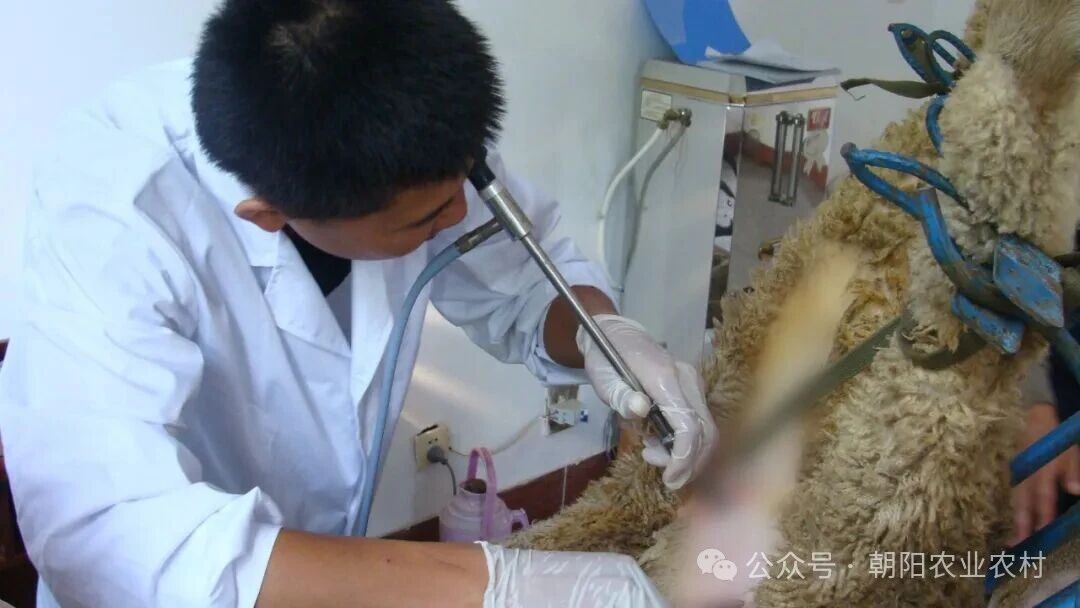微信图片_2026-05-27_085035_242.jpg 微信图片_2026-05-27_085035_242.jpg