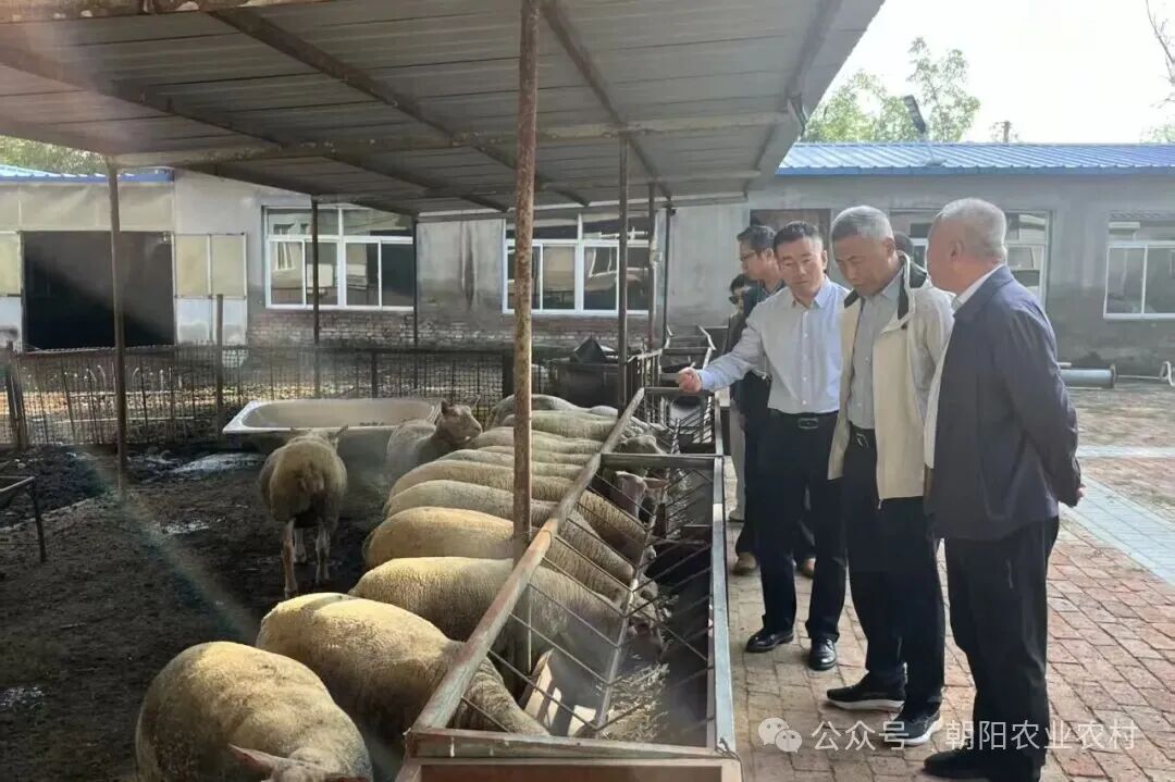 微信图片_2026-05-27_085045_270.jpg 微信图片_2026-05-27_085045_270.jpg