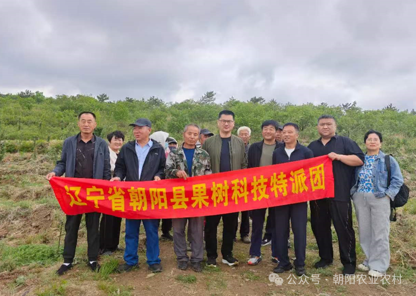 微信图片_2026-06-04_135842_918.png 微信图片_2026-06-04_135842_918.png
