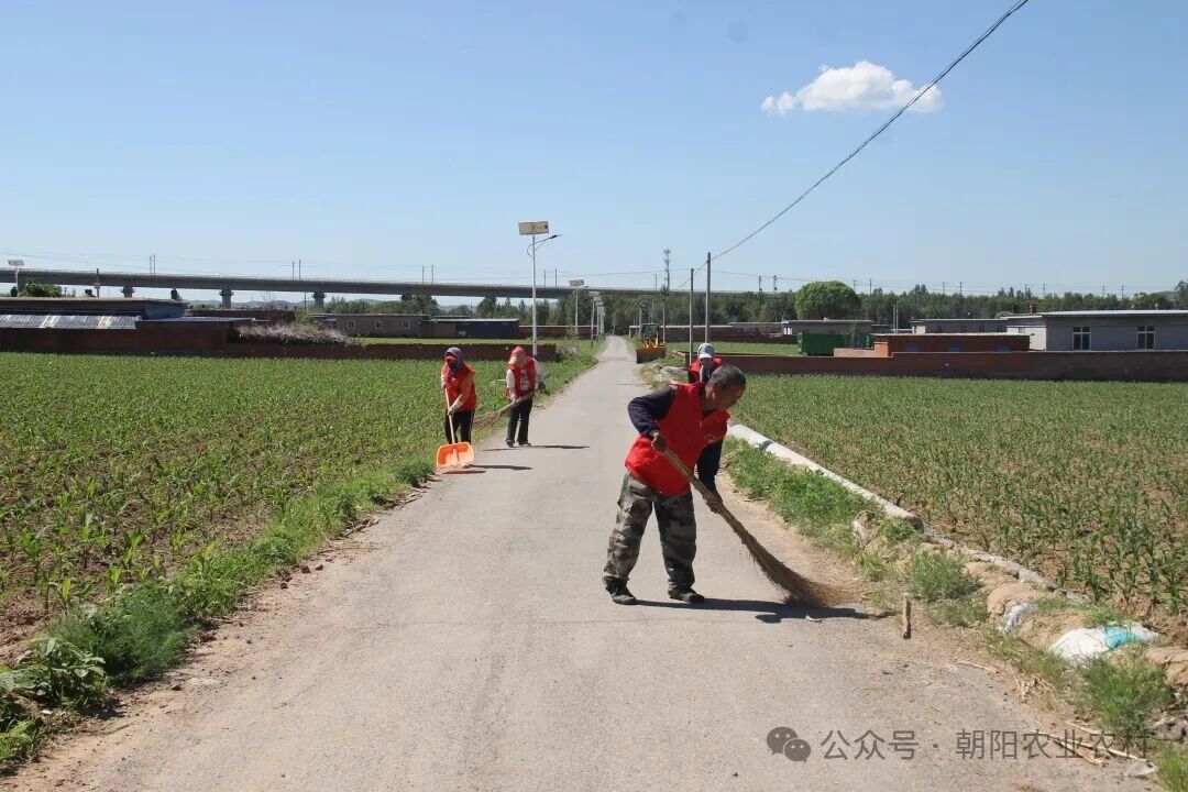 微信图片_2026-06-10_144418_165.jpg