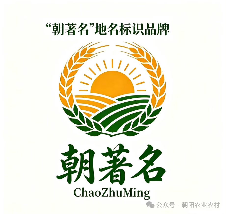 微信图片_2026-06-17_135326_980.png