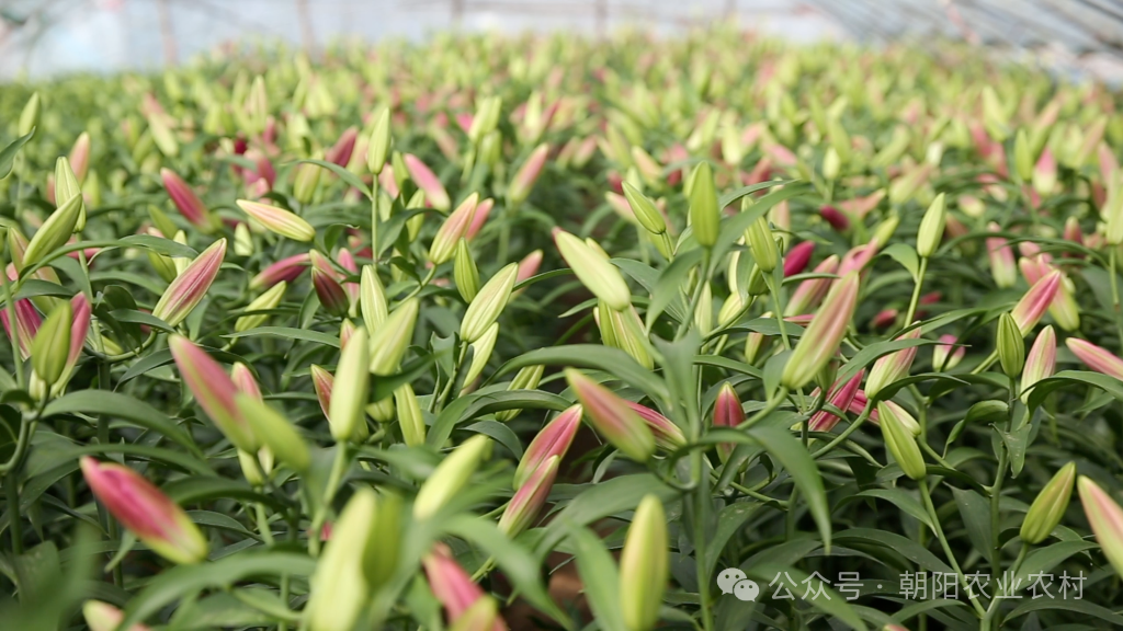 微信图片_2026-06-24_092736_344.png 微信图片_2026-06-24_092736_344.png