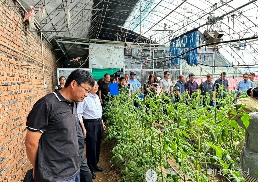 微信图片_2026-06-24_094543_500.jpg 微信图片_2026-06-24_094543_500.jpg