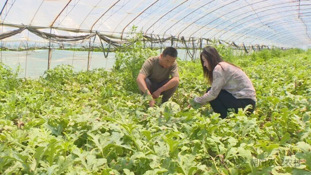 微信图片_2026-06-24_140640_523.jpg 微信图片_2026-06-24_140640_523.jpg