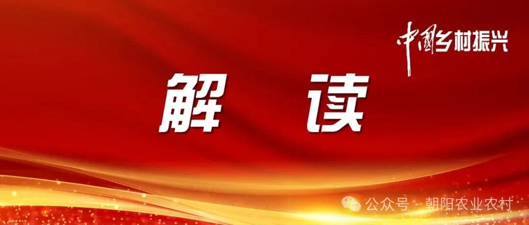 微信图片_2026-09-09_143900_062.jpg 微信图片_2026-09-09_143900_062.jpg