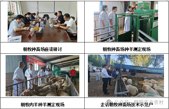 微信图片_2026-09-11_102630_509.png