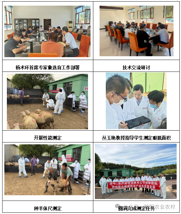 微信图片_2026-09-11_102642_318.png