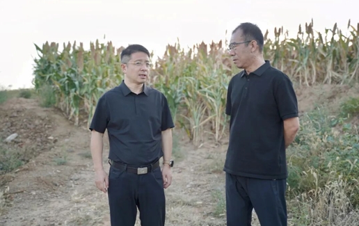 巴行金督导检查农村人居环境整治工作.jpg 巴行金督导检查农村人居环境整治工作.jpg