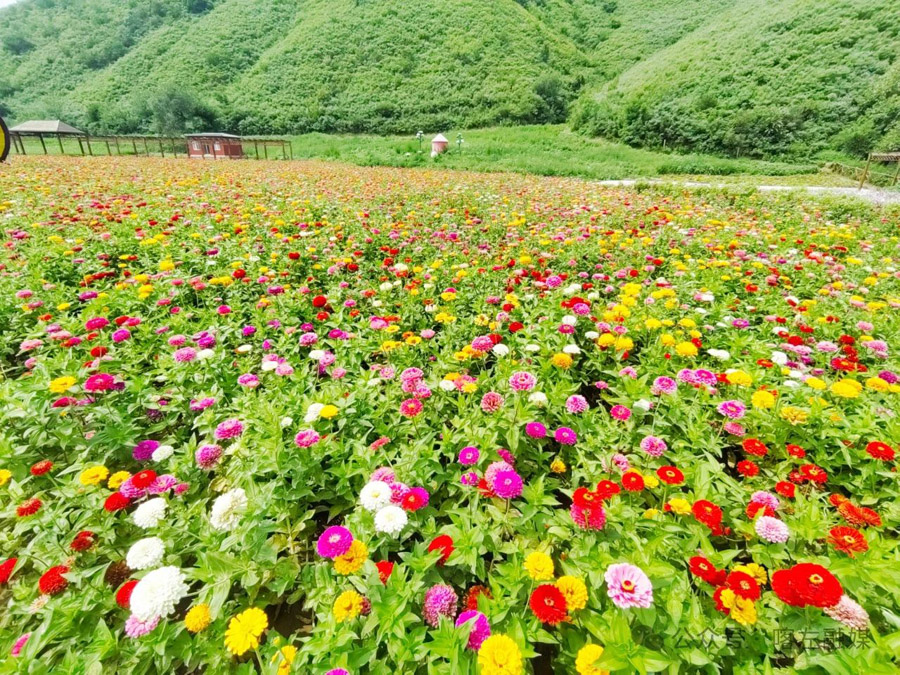 C:UsersAdministratorDesktop\u5fae信图片_20241017093705.jpg