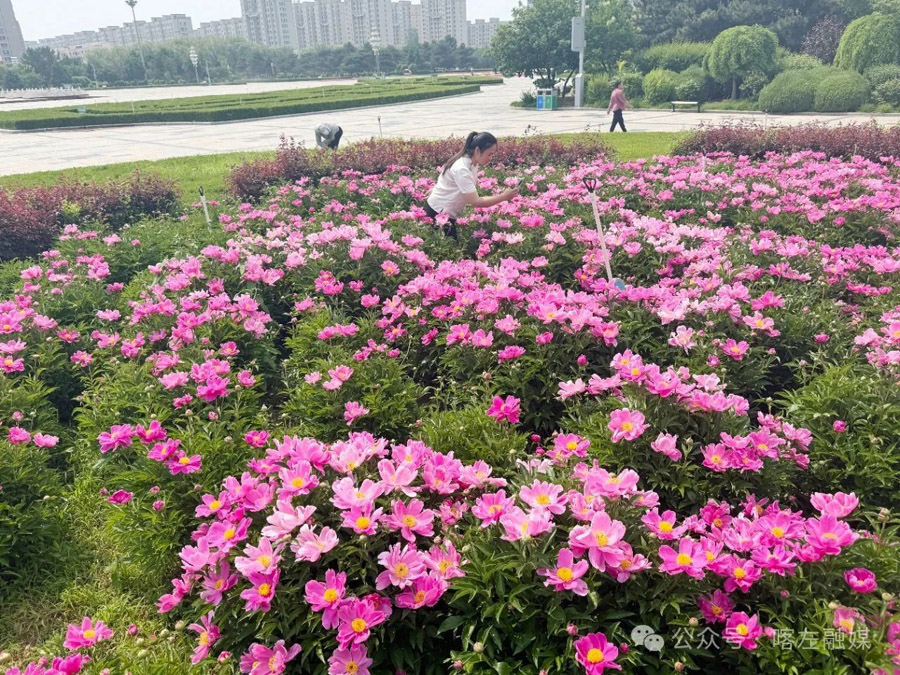 C:UsersAdministratorDesktop\u5fae信图片_20250603080959.jpg