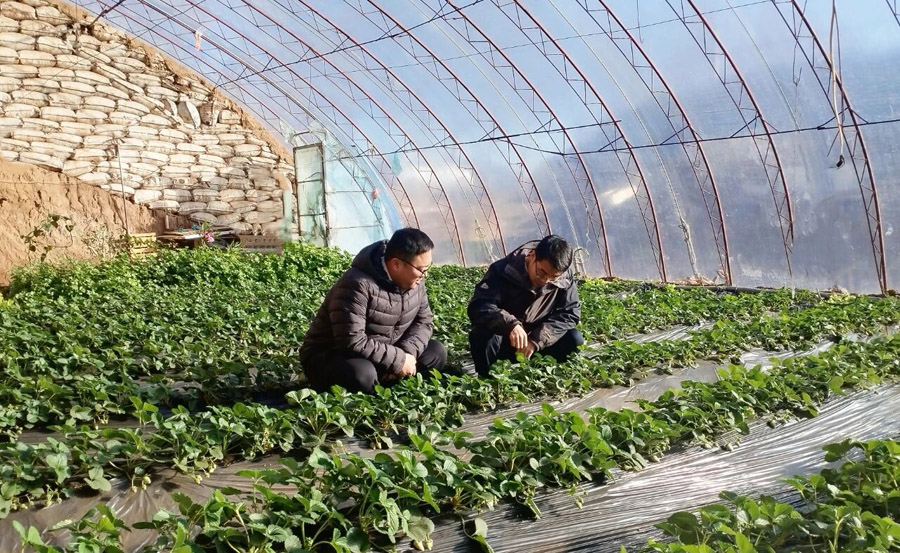 C:UsersAdministratorDesktop\u5fae信图片_20251209080806.jpg C:UsersAdministratorDesktop\u5fae信图片_20251209080806.jpg