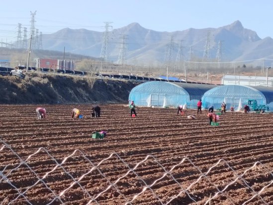 51b99253eb97cd346966fad37c813c71