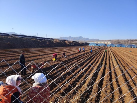 d84947547f89bb915413612f34ff9a3c