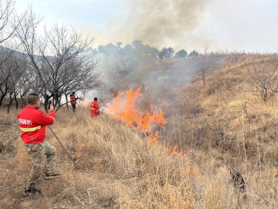 0bd00a792e9cbc0741ed5633a2662de6