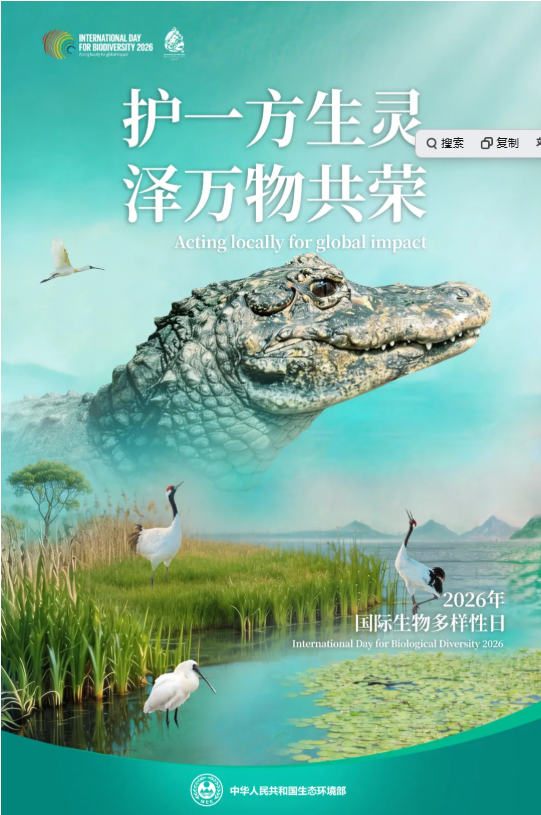 微信图片_20260521084305_884_173.png