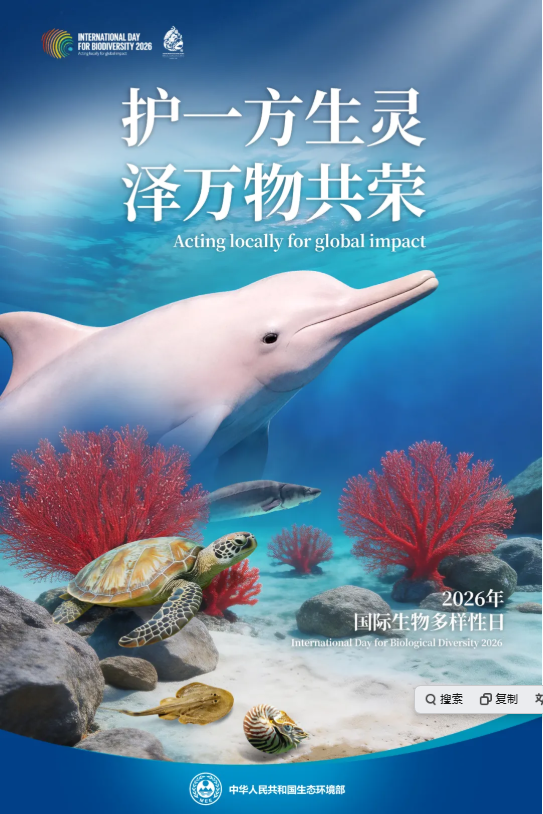 微信图片_20260521084406_885_173.png
