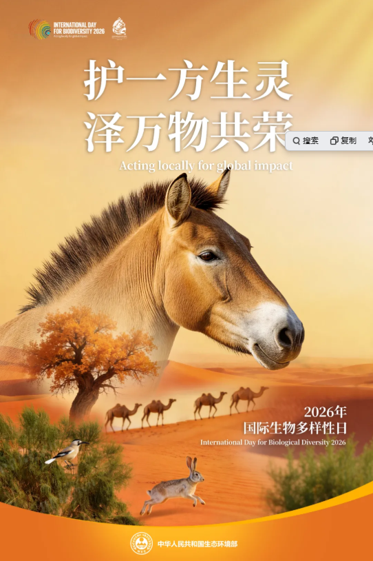 微信图片_20260521084406_886_173.png